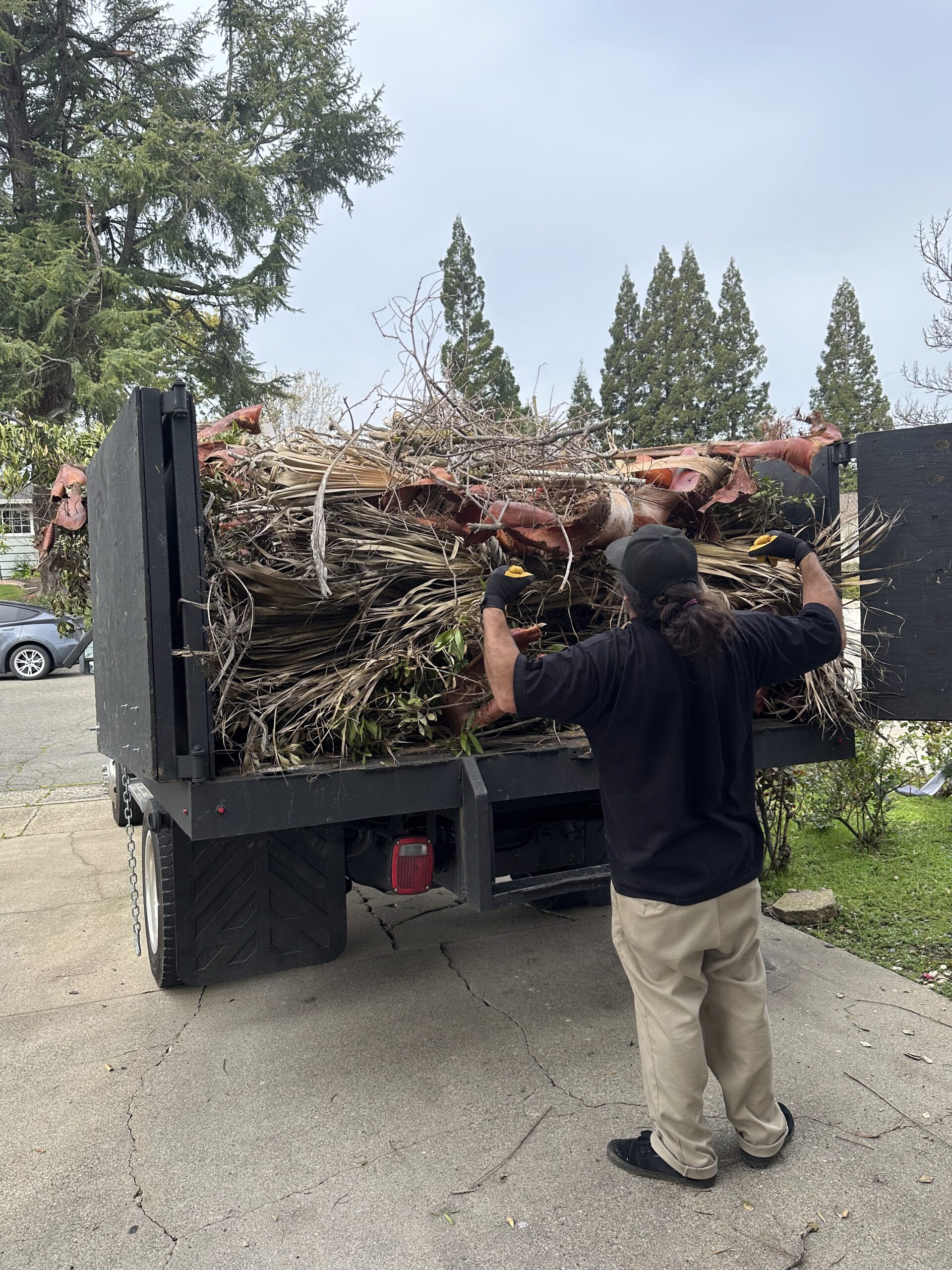 Yard Waste Removal in Sacramento – Superstar Junk Removal Worker loading palm branches and yard debris into a junk truck in Sacramento Worker loading palm branches and yard debris into a junk truck in Sacramento