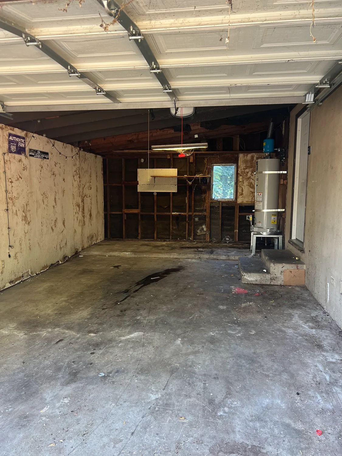 basement cleanout after result