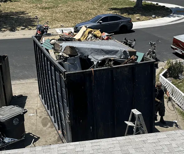 dumpster carpet removal image